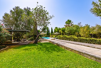Finca Tres Pins: _DSC4167-bearbeitet.jpg