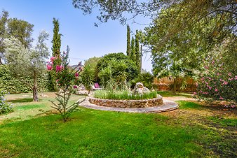 Finca Tres Pins: _DSC4180-bearbeitet.jpg