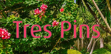 Zurück zur Startseite von Finca Tres Pins