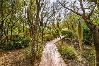 Finca Son Jorbo: _DSC4285-bearbeitet.jpg