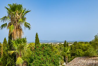 Finca Son Jorbo: _DSC4289-bearbeitet.jpg