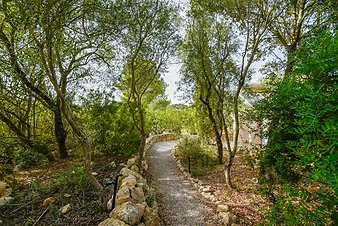 Finca Son Jorbo: _DSC4290-bearbeitet.jpg