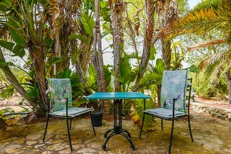 Finca Son Jorbo: _DSC4293-bearbeitet.jpg