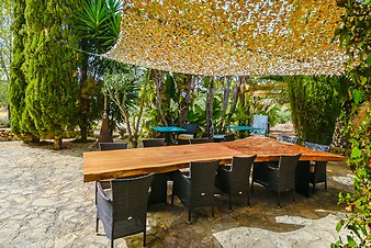 Finca Son Jorbo: _DSC4295-bearbeitet.jpg