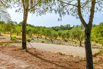 Finca Son Jorbo: _DSC4296-bearbeitet.jpg