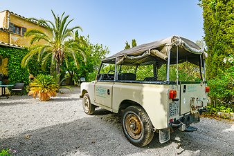 Finca Son Jorbo: _DSC4297-bearbeitet.jpg