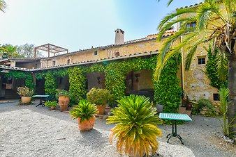 Finca Son Jorbo: _DSC4299-bearbeitet.jpg
