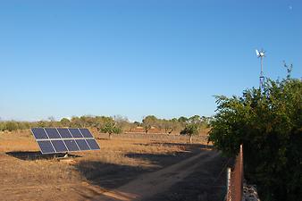 Finca Son Cortera Vell: Die Finca