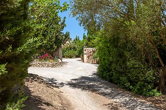 Finca Son Jorbo: Auffahrt.jpg