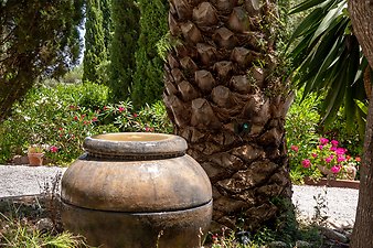 Finca Son Jorbo: Brunnen.jpg