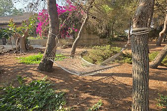 Finca Son Cifre Nou: Kundenbild