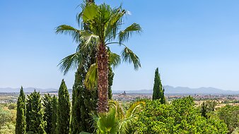 Finca Son Jorbo: Lage