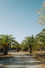 Finca Casa Ses Anyanes: Kundenbild