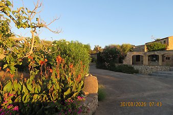 Finca Pepe: Kundenbild