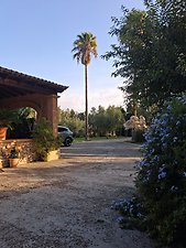 Finca Son Negre: Kundenbild