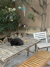 Finca Cas Padri Guillem: Kundenbild