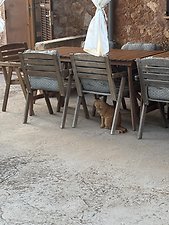 Finca Cas Padri Guillem: Kundenbild