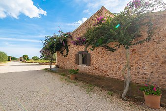 Finca Coll Doret: Blick zum Einfahrtstor