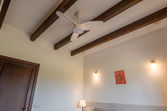 Finca Coll Doret: Deckenventilator