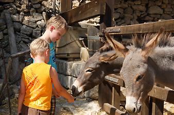 Finca Son Torrat: Ansicht der Finca