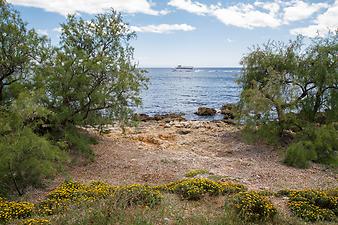 Ferienwohnung Ses Roques de Cala Bona: Felsenstrand