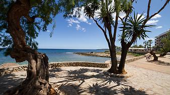 Ferienwohnung Ses Roques de Cala Bona: Lage