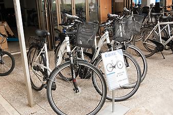 Ferienwohnung Ses Roques de Cala Bona: E-Bikes mieten auf Mallorca