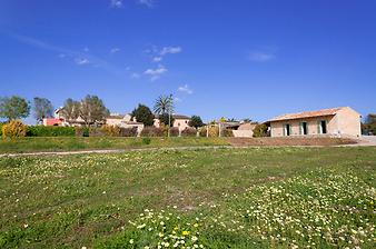 Finca Sa Franquesa Vella: Frühjahr auf Mallorca. 