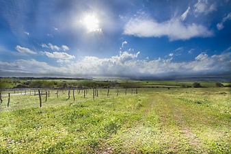 Finca Sa Franquesa Vella: Regen auf Mallorca