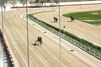 Finca Ses Cases de son Duri: Pferderennbahn Manacor