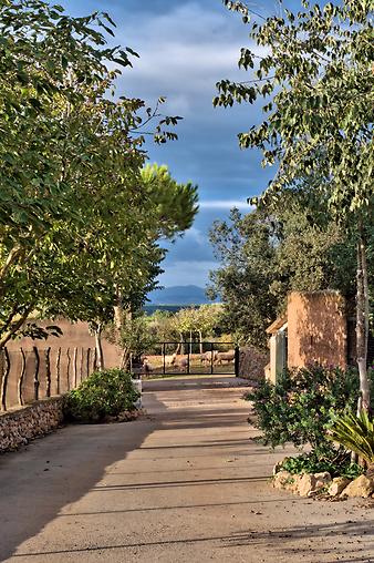 Finca Ses Cases de son Duri: Blick auf Alcudia