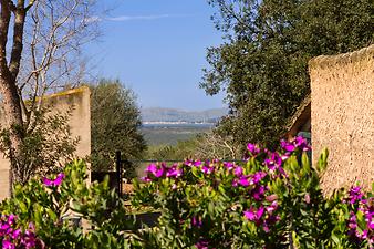 Finca Ses Cases de son Duri: Meerblick - Bucht von Alcúdia