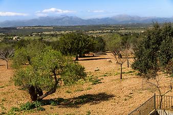 Finca Ses Cases de son Duri: Tramuntana