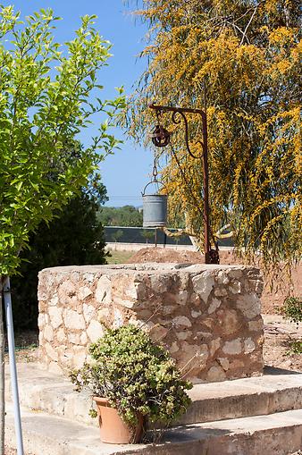 Finca Es Collet: Der Brunnen im Garten der Finca