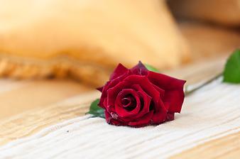 Finca Es Collet: Rose