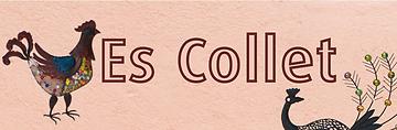 Zurück zur Startseite von Finca Es Collet