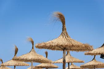 Ferienhaus Can Ravell: Strand Sa Coma Mallorca