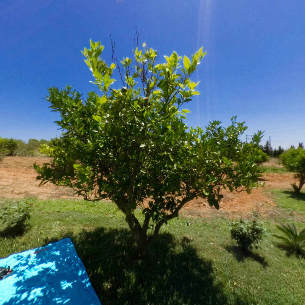 Finca Son Vives: Panoramen