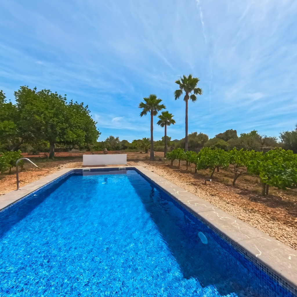 Finca Mia Limon: Panoramen
