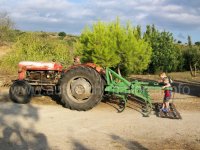 Agrotourismus auf Mallorca heißt auch Trekkerfahren und Ponyreiten