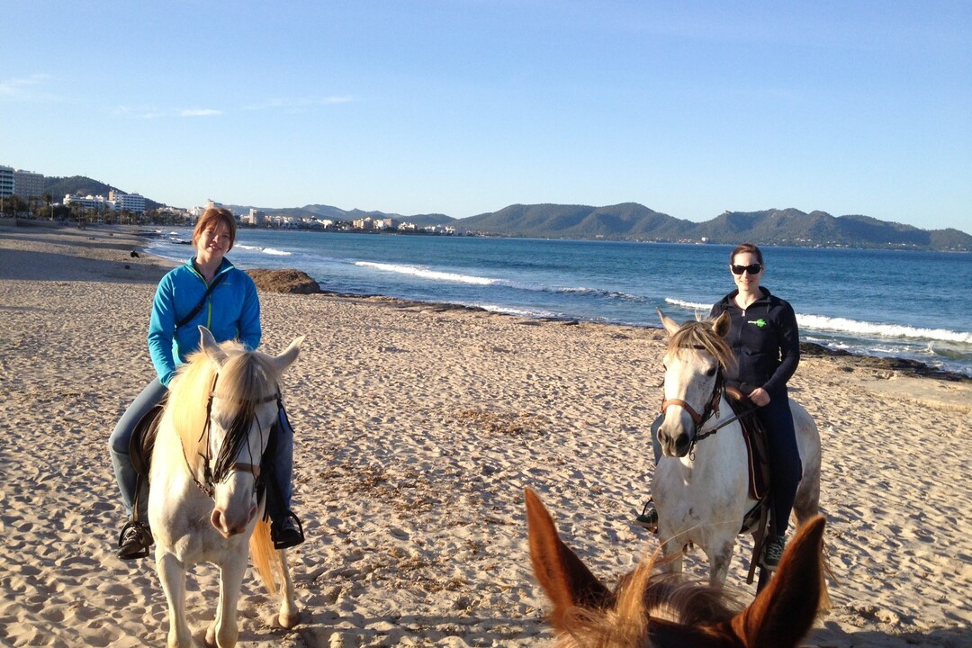 Reiten auf Mallorca - Punta de n'Amer