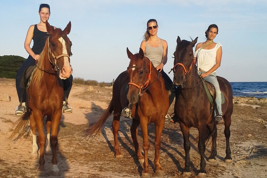 Reiten auf Mallorca - Punta de n'Amer